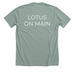 Tops, a Heather Sage Premium Unisex Tee (back-view)