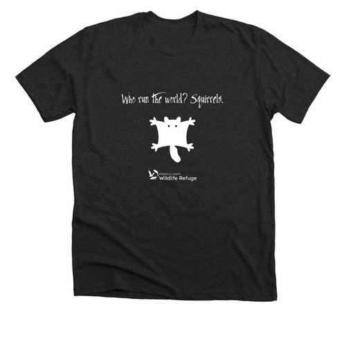 Who Run the World? Squirrels., a Dark Grey Heather Premium Unisex Tee