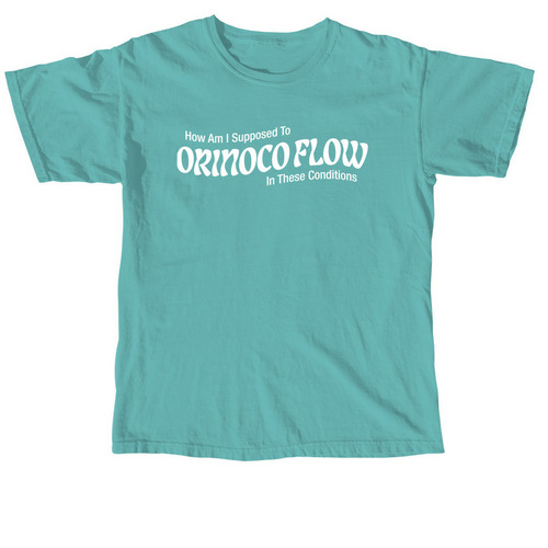 Orinoco Flow, a Seafoam Comfort Colors Unisex Tee