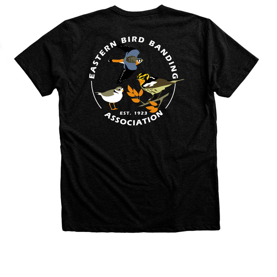 "EBBA" with Logo on Back, a Black Heather Premium Unisex Tee (back-view)