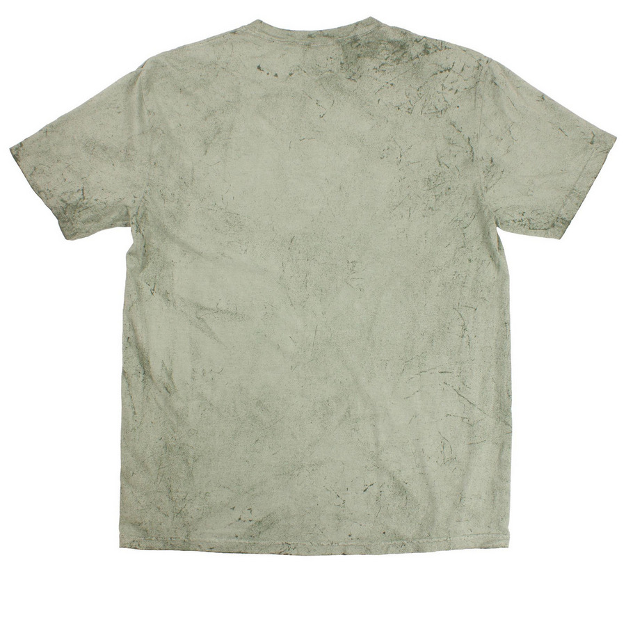 Fremont Neighbor - Founding Run, a Fern Comfort Colors Colorblast Tee (back-view)