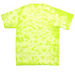 Kids Big Deal @ NDCC, a Lemon Lime Youth Crystal Tie Dye Tee (back-view)