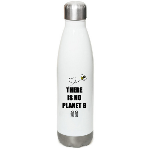 There is No Planet B - Stainless Steel Bottle, a White Stainless Steel Water Bottle