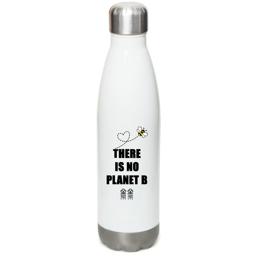 There is No Planet B - Stainless Steel Bottle, a White Stainless Steel Water Bottle