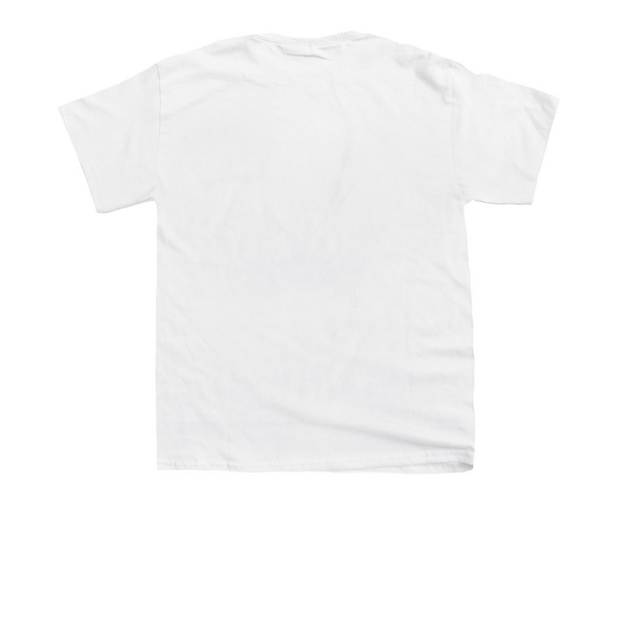 Fund Washington Schools, a White Youth Unisex Tee (back-view)