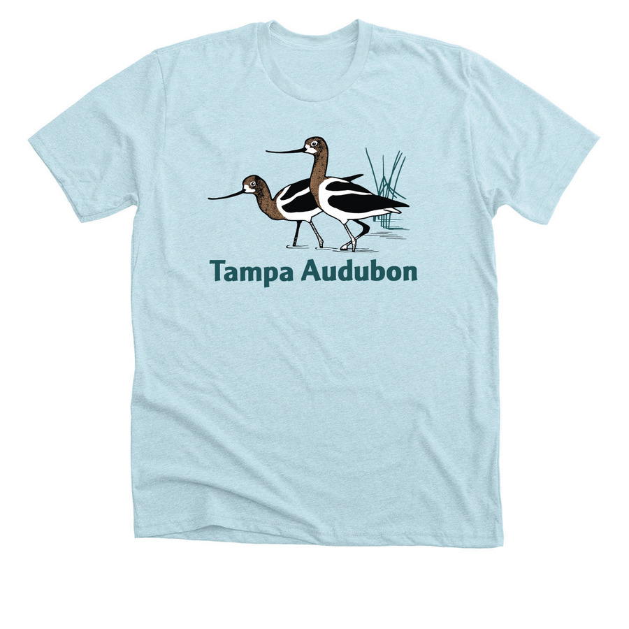 Cotton/Cotton Blend T-Shirts, a Heather Ice Blue Premium Unisex Tee