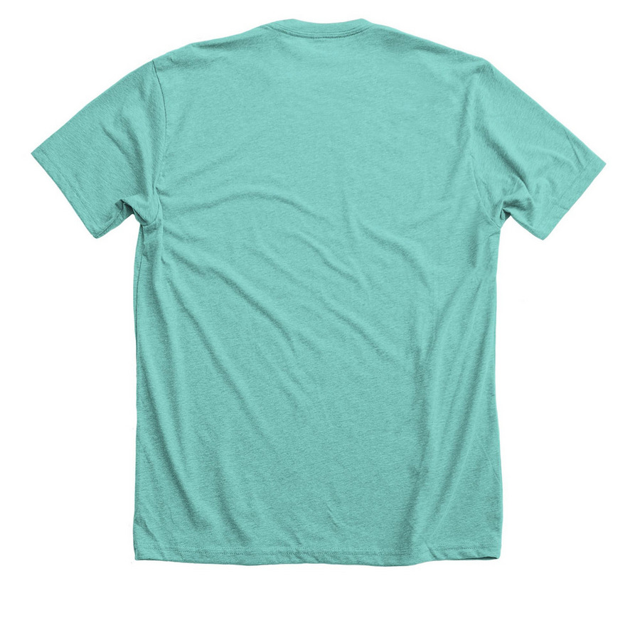 Pack of Pipsqueaks, a Heather Sea Green Premium Unisex Tee (back-view)