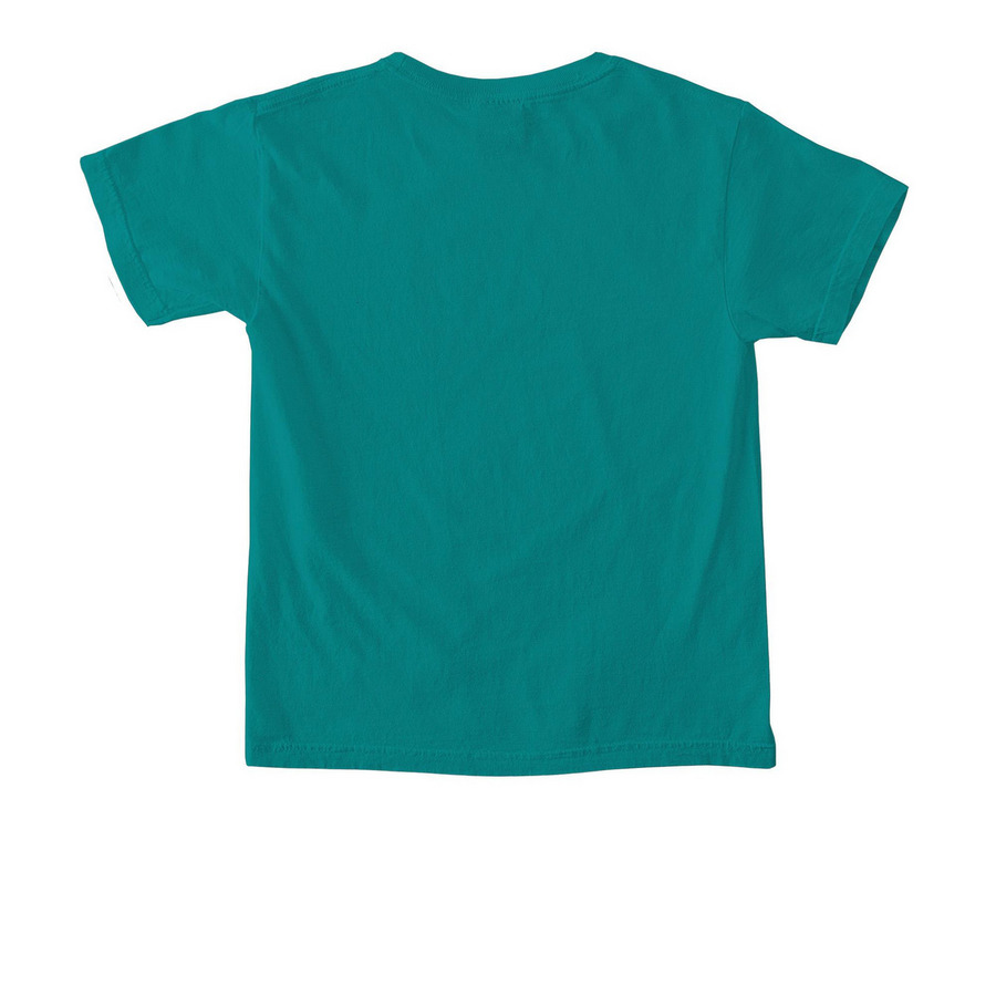 'GREEN IN MAY' Shirt Benefiting 1N5, a Seafoam Comfort Colors Youth Tee (back-view)