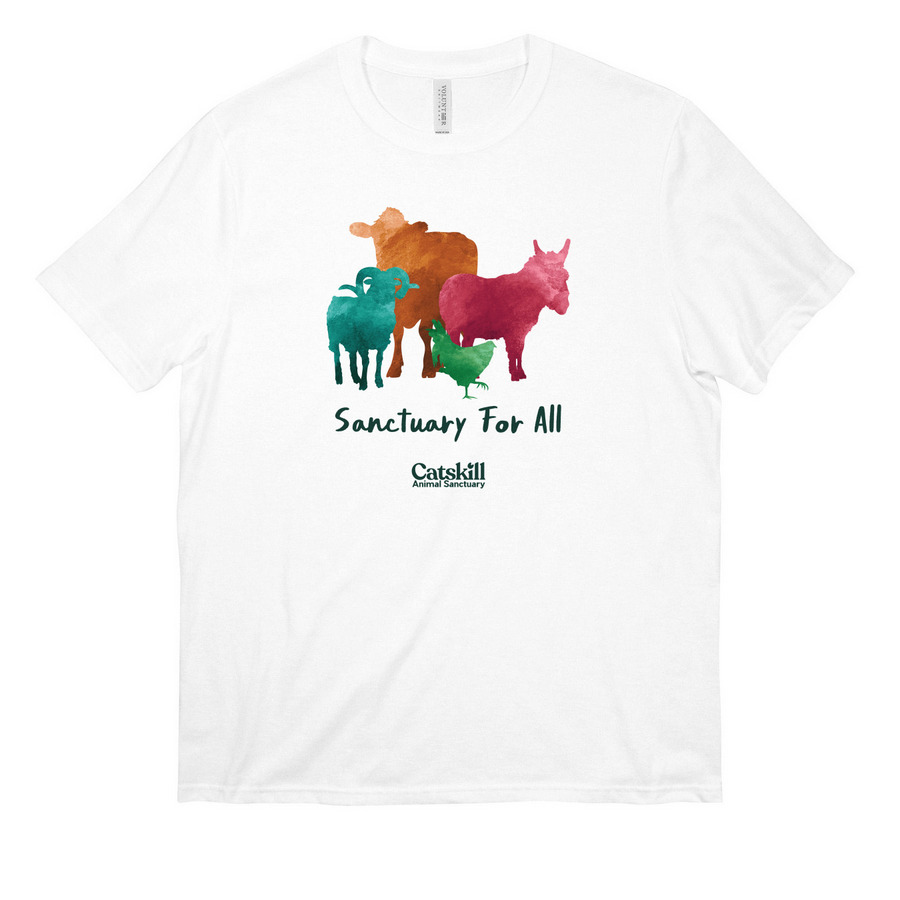 Watercolor CAS Tee: Unisex, a White All-American Unisex Tee