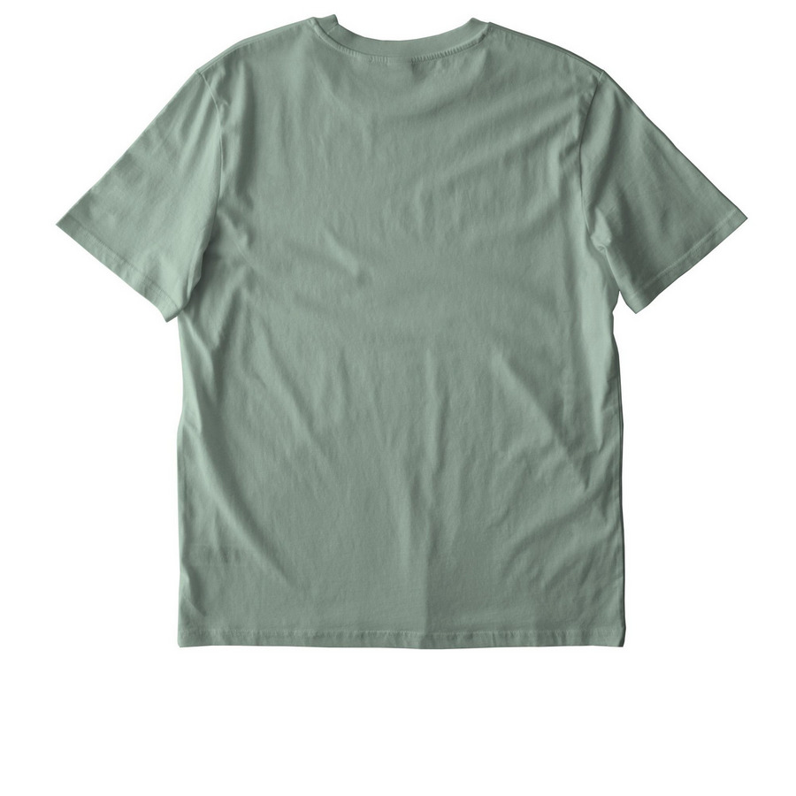 Public Libraries are TOAD-ally Punk, a Aloe Stanley/Stella Unisex Creator 2.0 Tee (back-view)