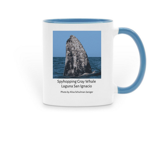 2025 Collectible Mug, a Light Blue Two-Tone Ceramic Mug