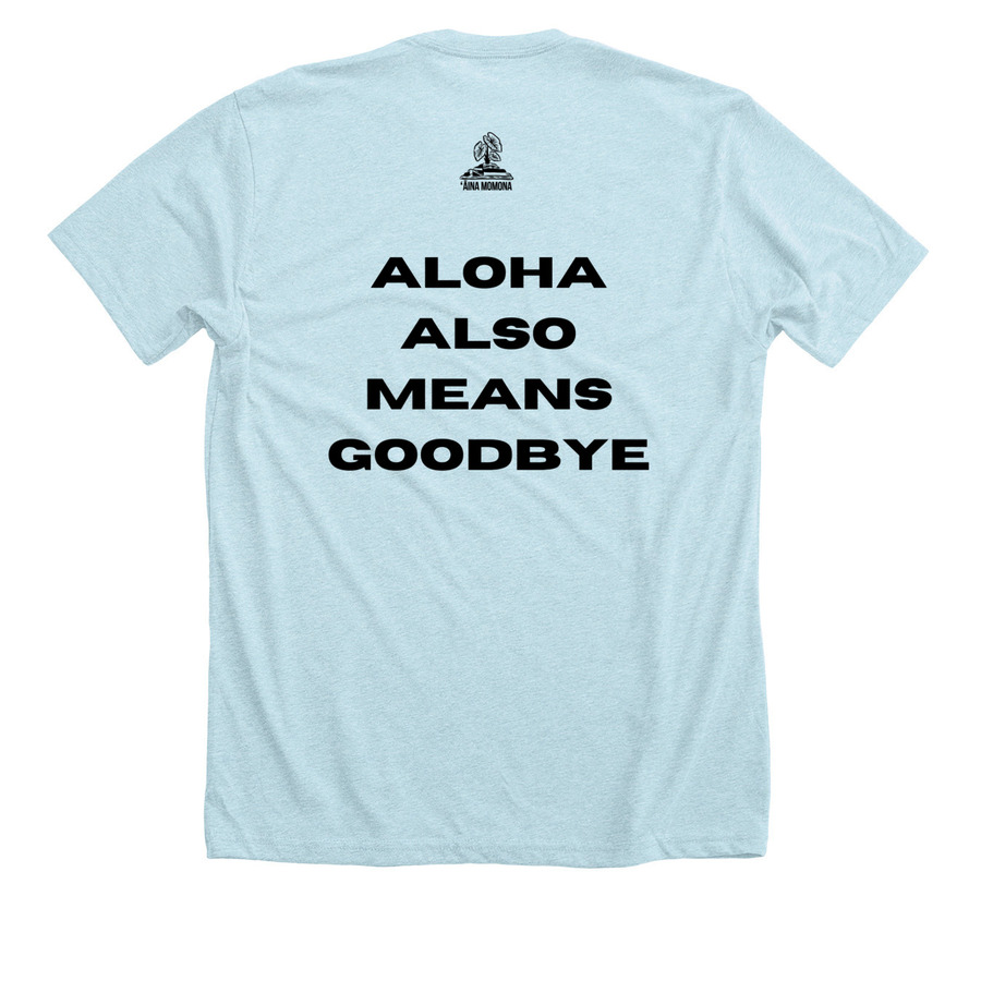 Visit. Spend. Go Home, a Heather Ice Blue Premium Unisex Tee (back-view)