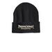 PARANORMAL DISCOVERY | EXPLORER BEANIE WHT, a Heather Charcoal Printed Cuffed Beanie