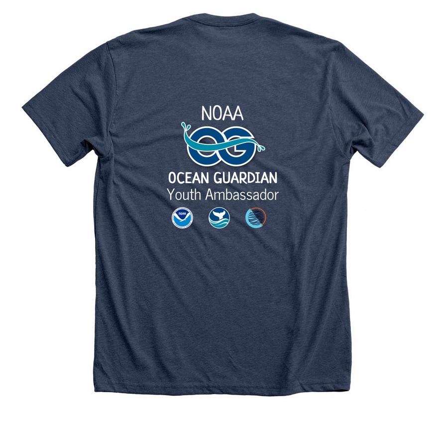 T-Shirts, a Heather Navy Premium Unisex Tee (back-view)