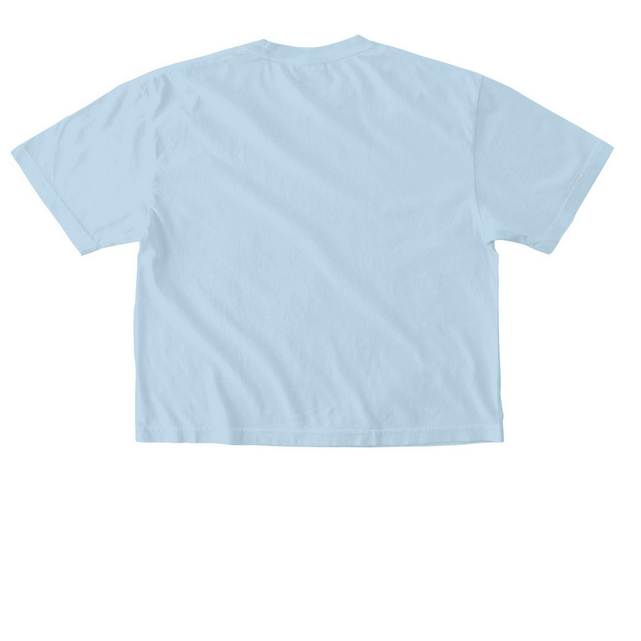 NEW! UMZM Cropped T-Shirt, a Chambray Comfort Colors Boxy Tee (back-view)