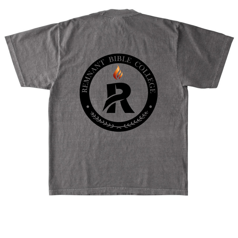RBC, a Cement Heavyweight Garment Dye Tee (back-view)
