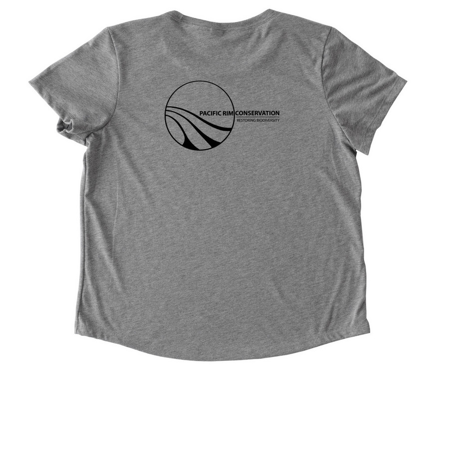 Black-footed Albatross & Chick, a Aluminum Grey Allmade Eco Triblend Women?s Scoop Neck Tee (back-view)