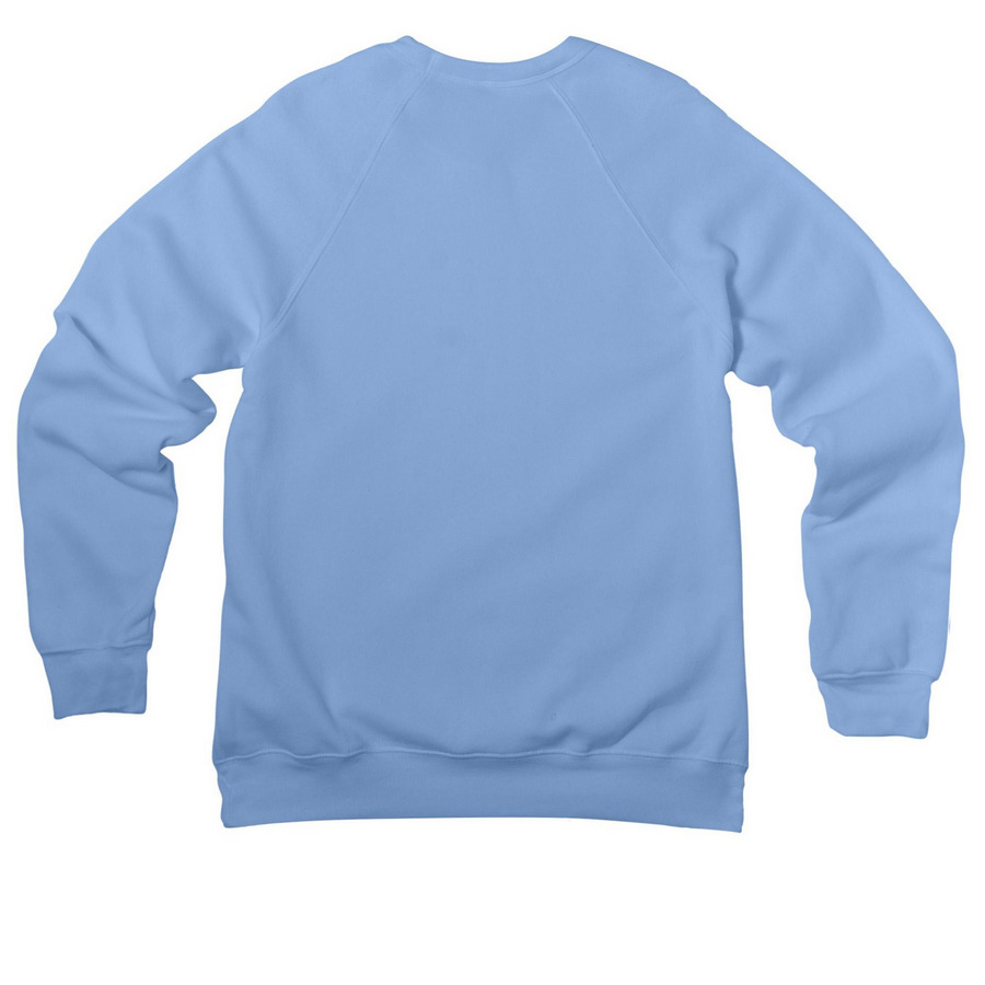 Fort Meyers 2026, a Carolina Blue Premium Raglan Crewneck Sweatshirt (back-view)