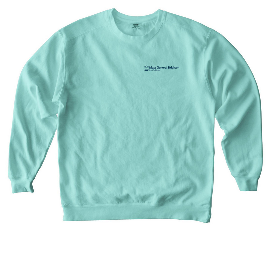 Little Fighter, Big City, a Chalky Mint Comfort Colors Crewneck Sweatshirt