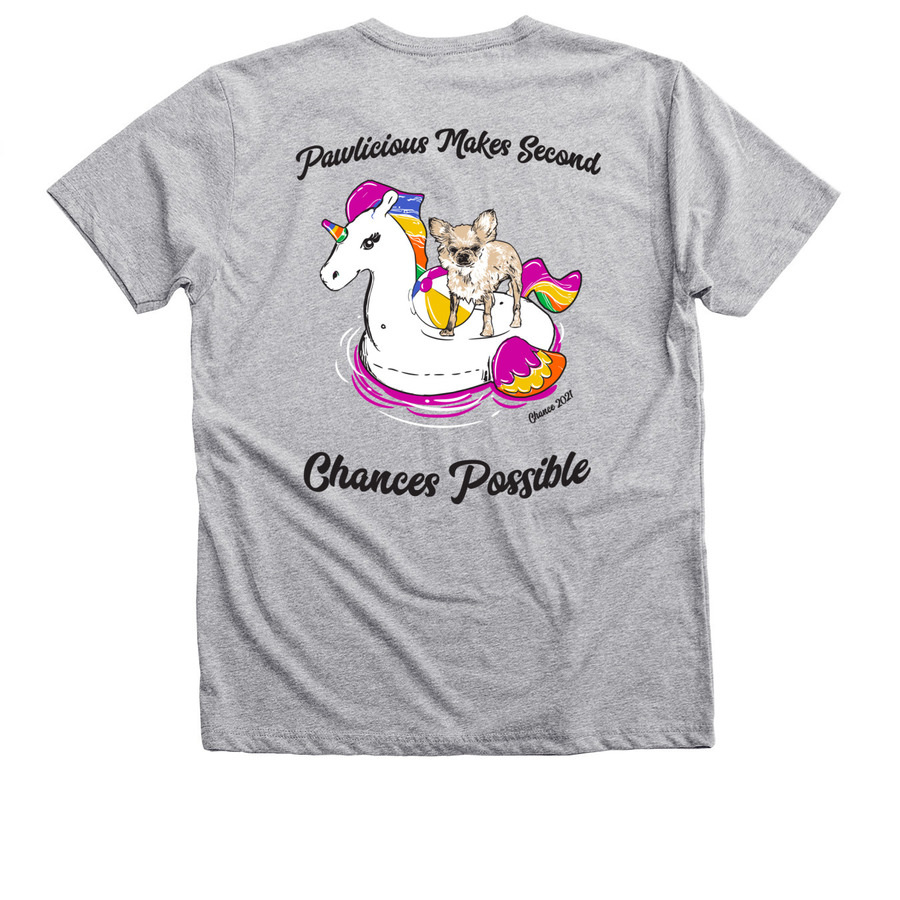 Making Second Chances Possible, a Athletic Heather Premium V-Neck Tee (back-view)