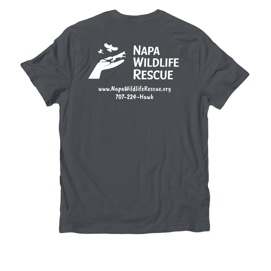 Wild Tee!, a Terrain Grey Allmade Organic Cotton Unisex Tee (back-view)