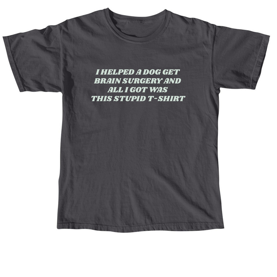 I helped a dog get brain surgery, a Graphite Comfort Colors Unisex Tee