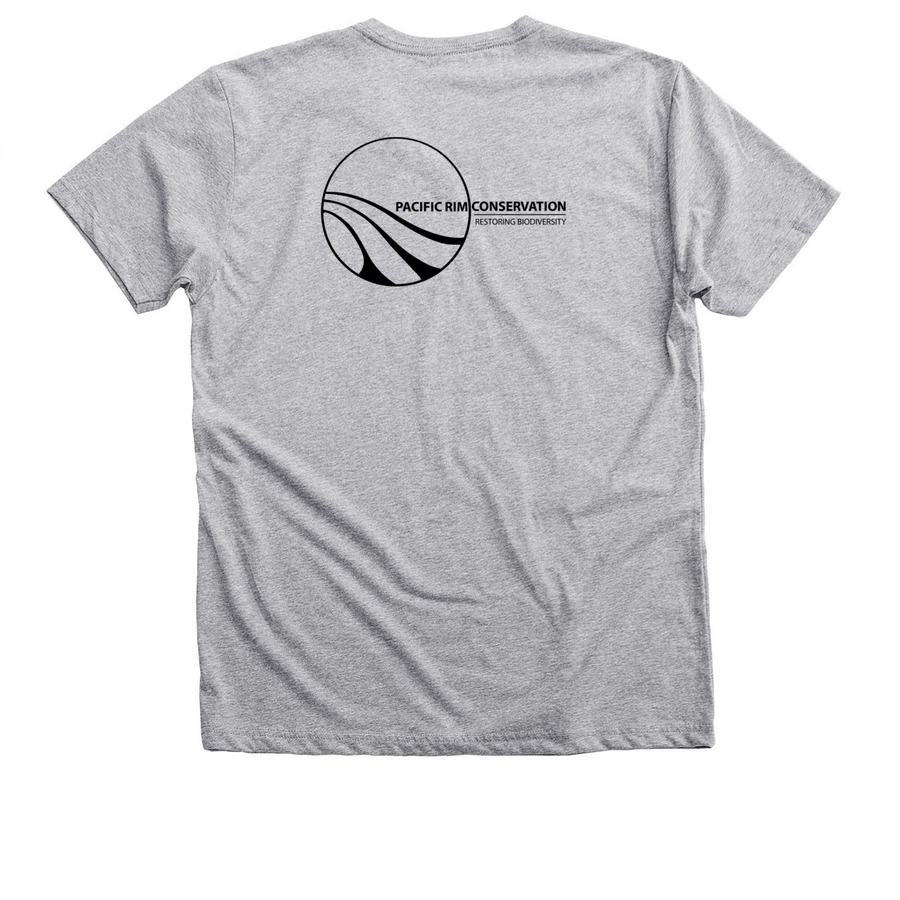 'A'o & 'Ua'u Shirt 2, a Athletic Heather Premium V-Neck Tee (back-view)