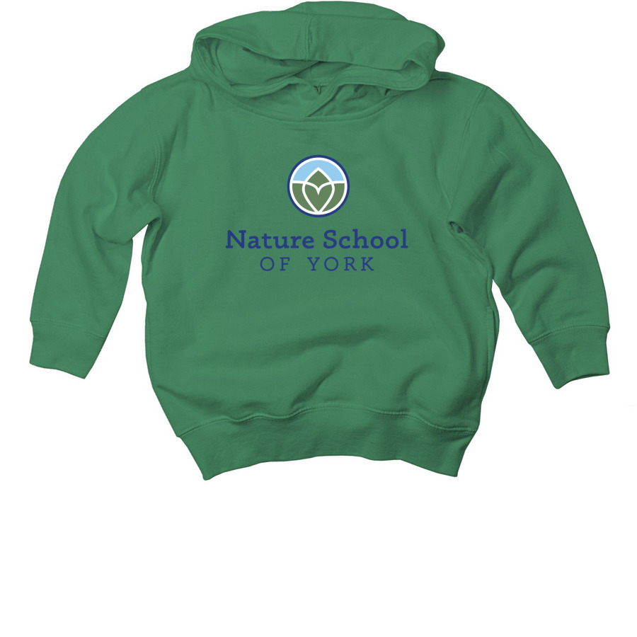 Toddler NSY logo tees, a Kelly Toddler Pullover Hoodie