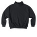 Danger Noodle Hoodies, a Black Stanley/Stella Cooper Dry Pullover Hoodie (back-view)