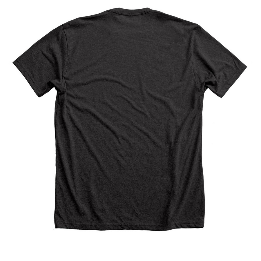 Go Eagles, a Dark Grey Heather Premium Unisex Tee (back-view)