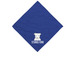 test, a Royal Cotton Bandana