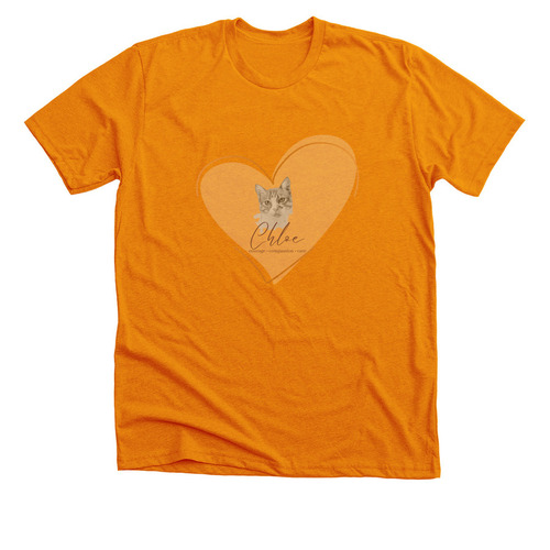Chloe's Legacy, a Heather Orange Premium Unisex Tee