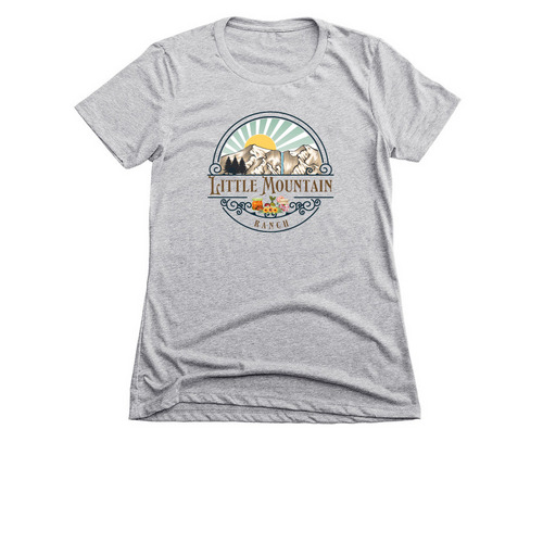 Little Mountain Ranch, a Dark Heather Grey Women's Slim Fit Tee