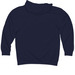 DNR Celebrating Everyone Belongs Outdoors, a Classic Navy Midweight Pullover Hoodie (back-view)
