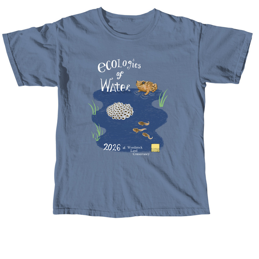 Ecologies of Water 2026&nbsp;, a Blue Jean Comfort Colors Unisex Tee