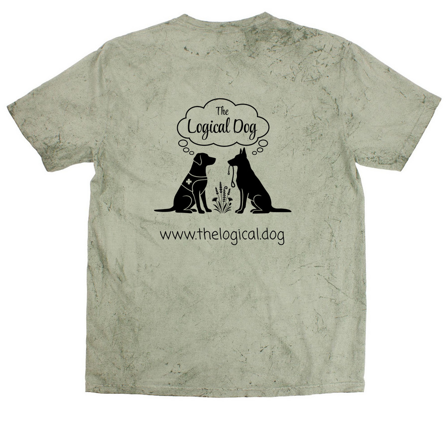 TLD Summer 26', a Fern Comfort Colors Colorblast Tee (back-view)