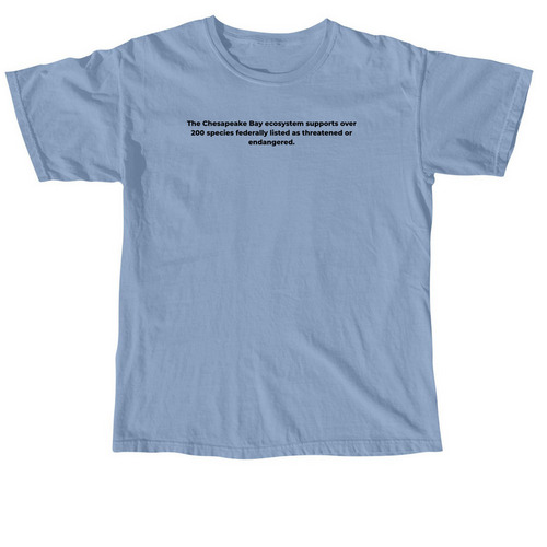 Protect the Chesapeake, a Washed Denim Comfort Colors Unisex Tee