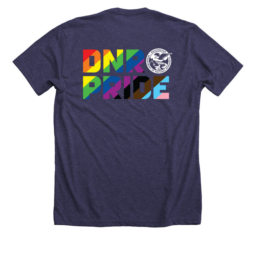 DNR Celebrating Pride Year Round Fundraiser, a Heather Lapis Premium Unisex Tee (back-view)