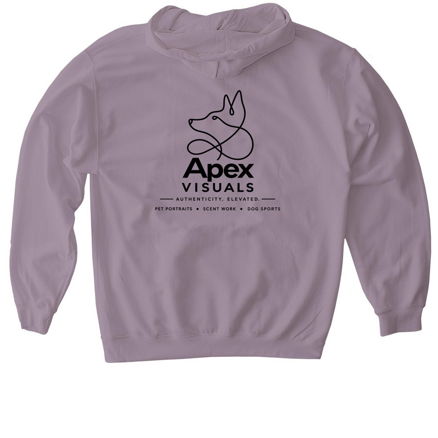 Apex Visuals Merch&nbsp;, a Paragon Gildan Softstyle Pullover Hoodie (back-view)