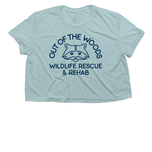 Shimple Shirt, a Dusty Blue Women?s Flowy Cropped Tee