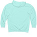 Loud & Proud, a Mint Midweight Pullover Hoodie (back-view)