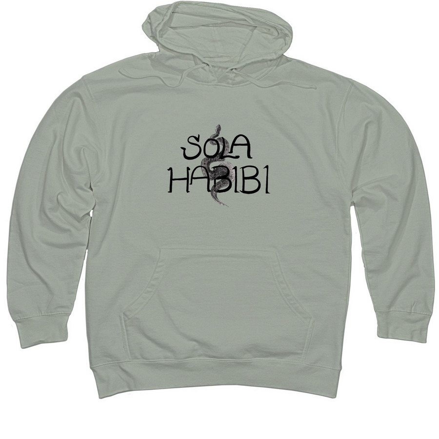 Protest Hoodie Supporting Immigrants, a Dusty Sage Midweight Pullover Hoodie