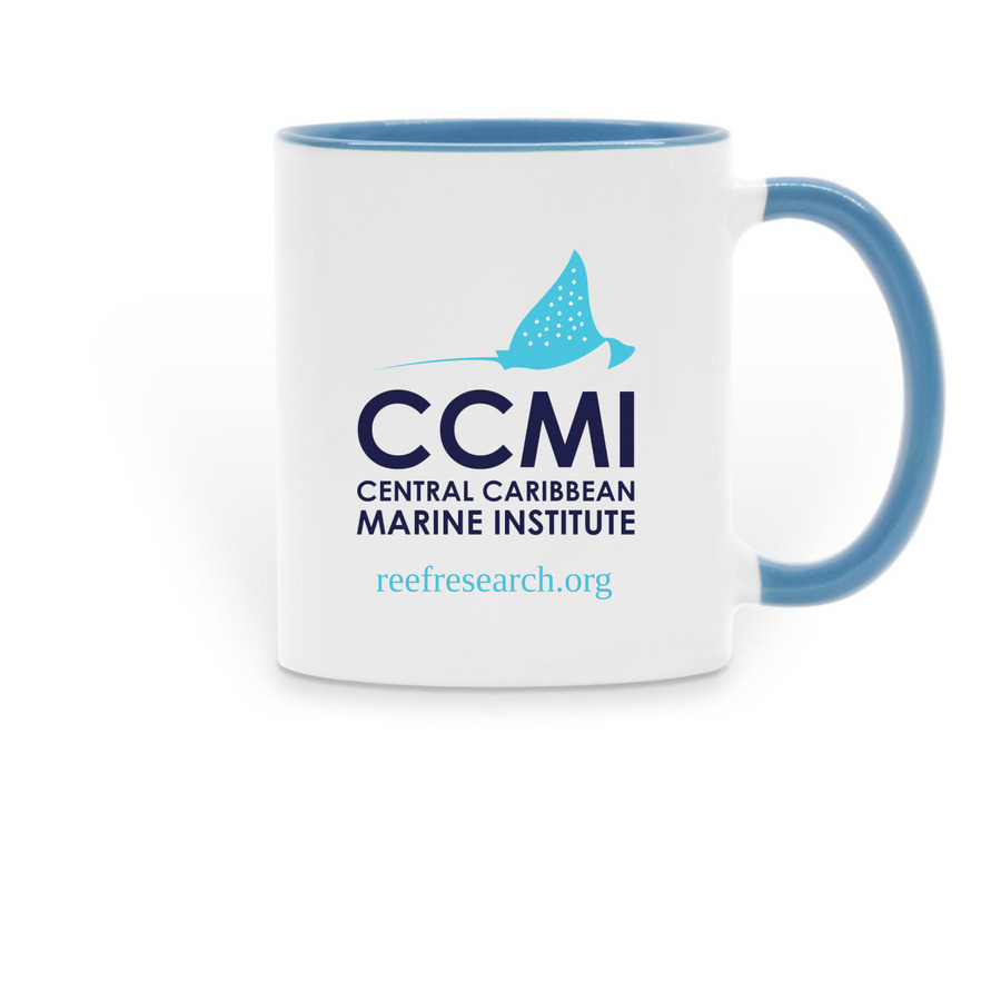 CCMI mugs - seahorse, a Light Blue Two-Tone Ceramic Mug