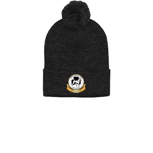 Pom-Pom Beanie, a Heather Charcoal Printed Pom-Pom Beanie