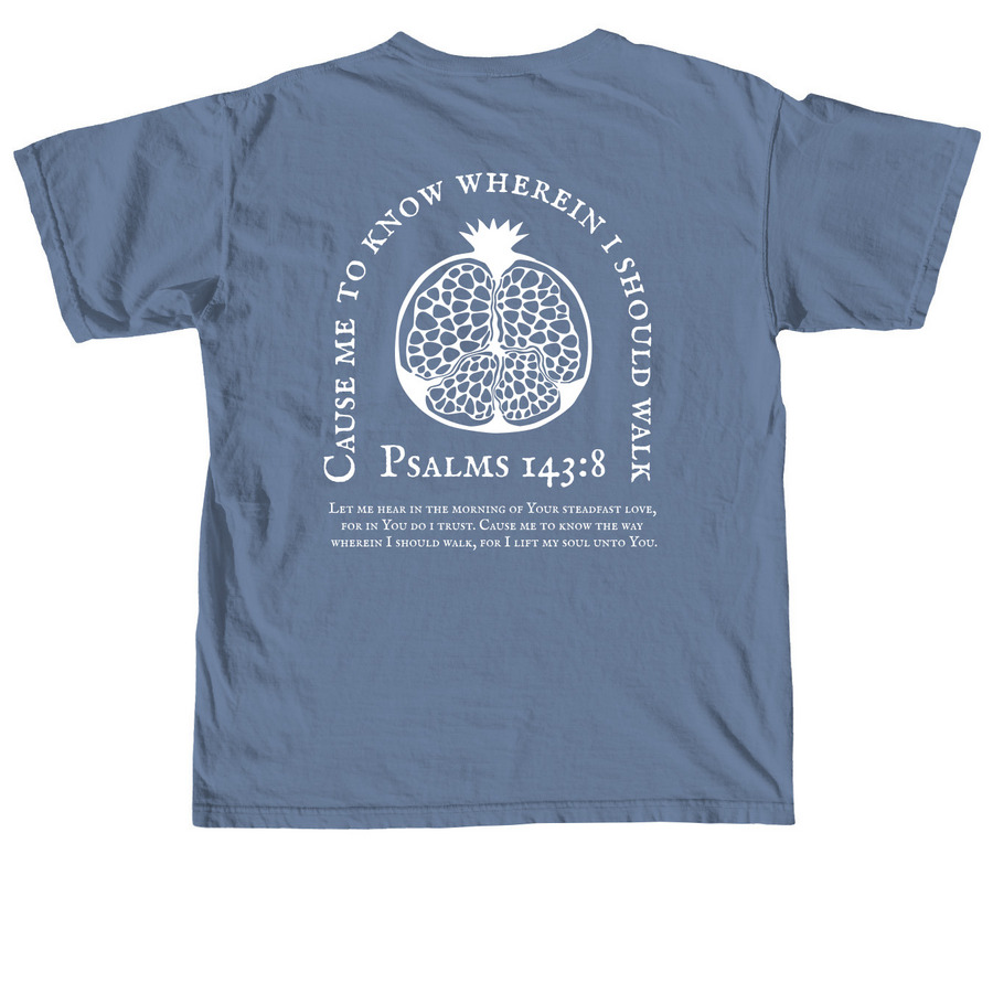 Kristin?s Germany fundraiser&nbsp;, a Blue Jean Comfort Colors Unisex Tee (back-view)