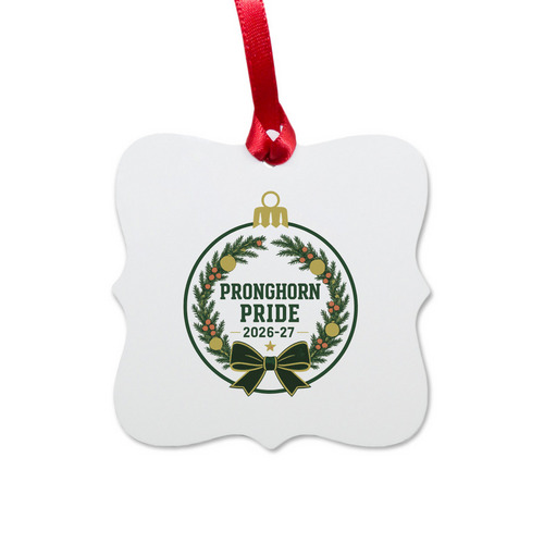 Home & Kitchen - PVE Pride Ornament, a White Aluminum Square Ornament