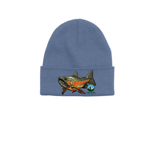 Golden Trout Beanies, a Sea Ice Printed Base Camp Beanie