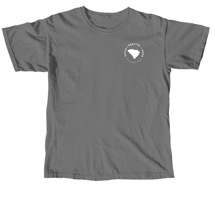 "We Are South Carolina" - Shirts, a Grey Comfort Colors Unisex Tee