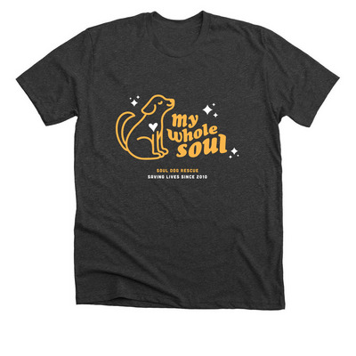 My Whole Soul, a Dark Grey Heather Premium Unisex Tee