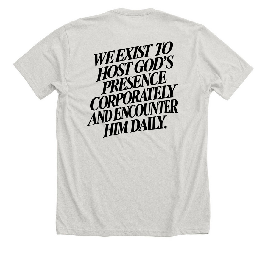 Flame & Vision Statement T-Shirt, a Heather Cement Premium Unisex Tee (back-view)